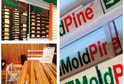 moldPine